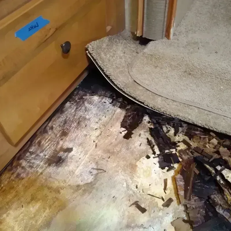 Best Wood Floor Water Damage Service in Portales, NM